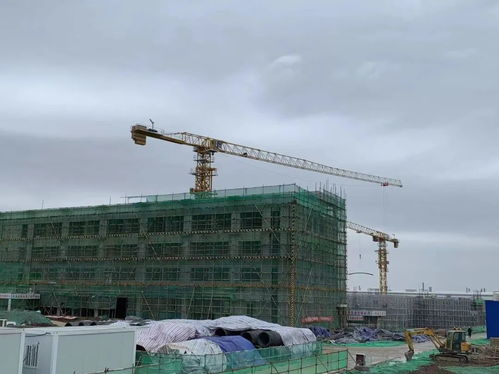 金花股份董事長(zhǎng)邢雅江率隊(duì)視察草堂建設(shè)項(xiàng)目，強(qiáng)調(diào)高質(zhì)量推進(jìn)房屋建筑工程施工